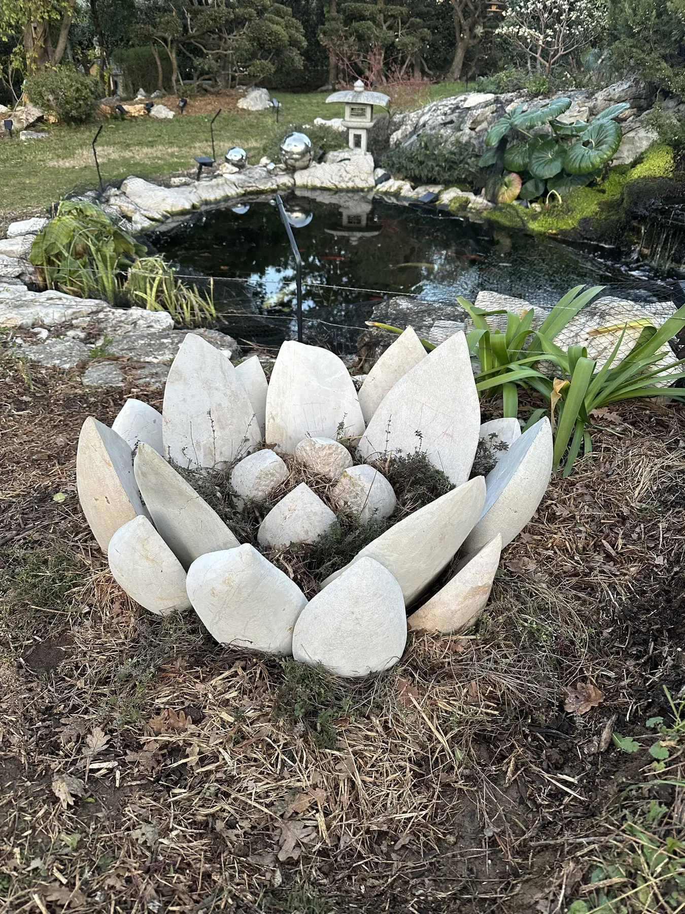 Lotus monumental en pierre installé au bord d'un bassin paysager