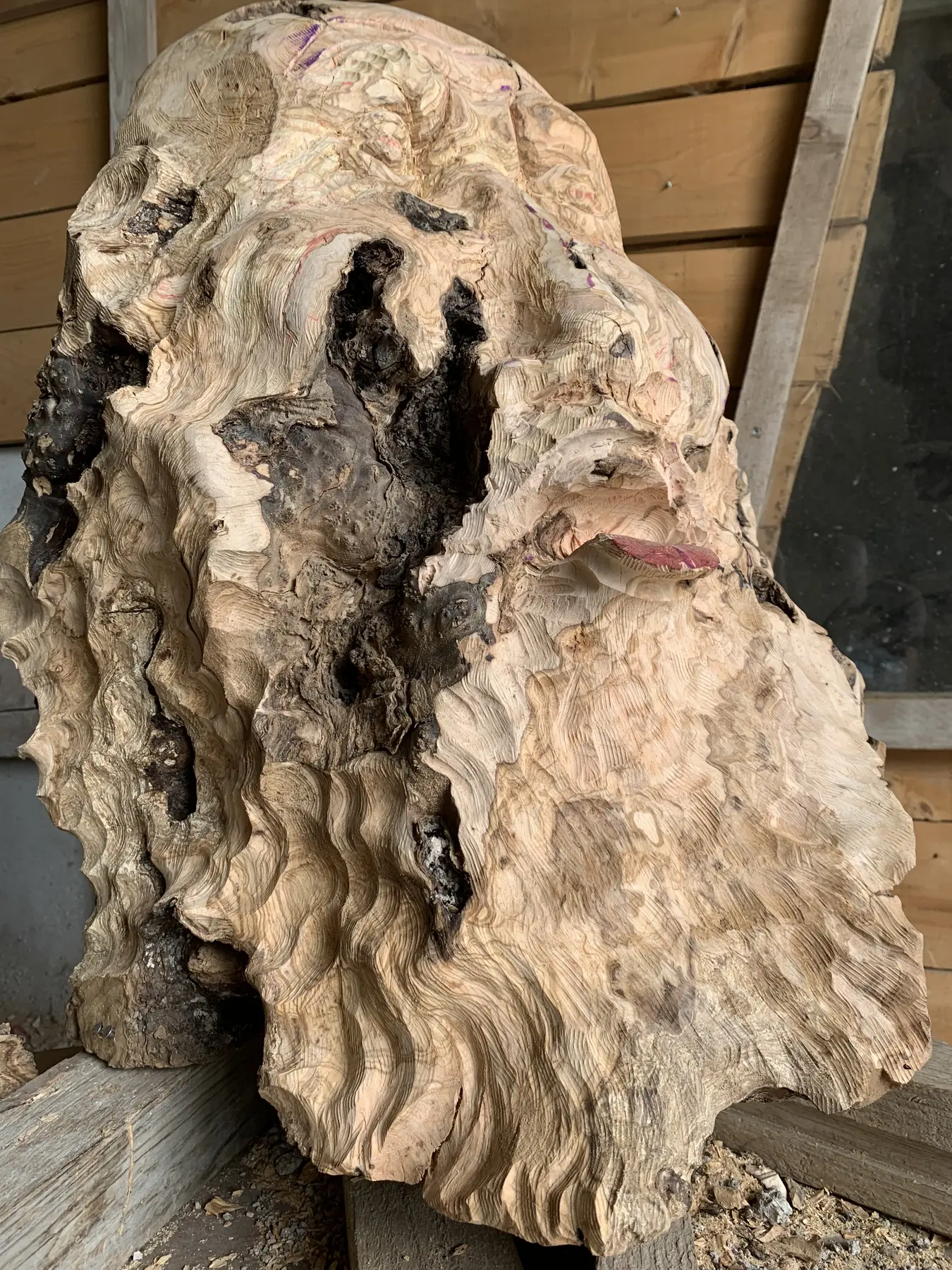 Détail des ciseaux et textures sur un visage sculpté en olivier