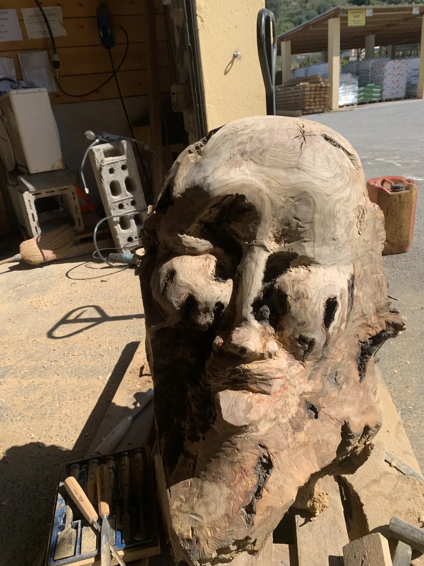 Premiers volumes du visage dégagés dans une pièce d'olivier