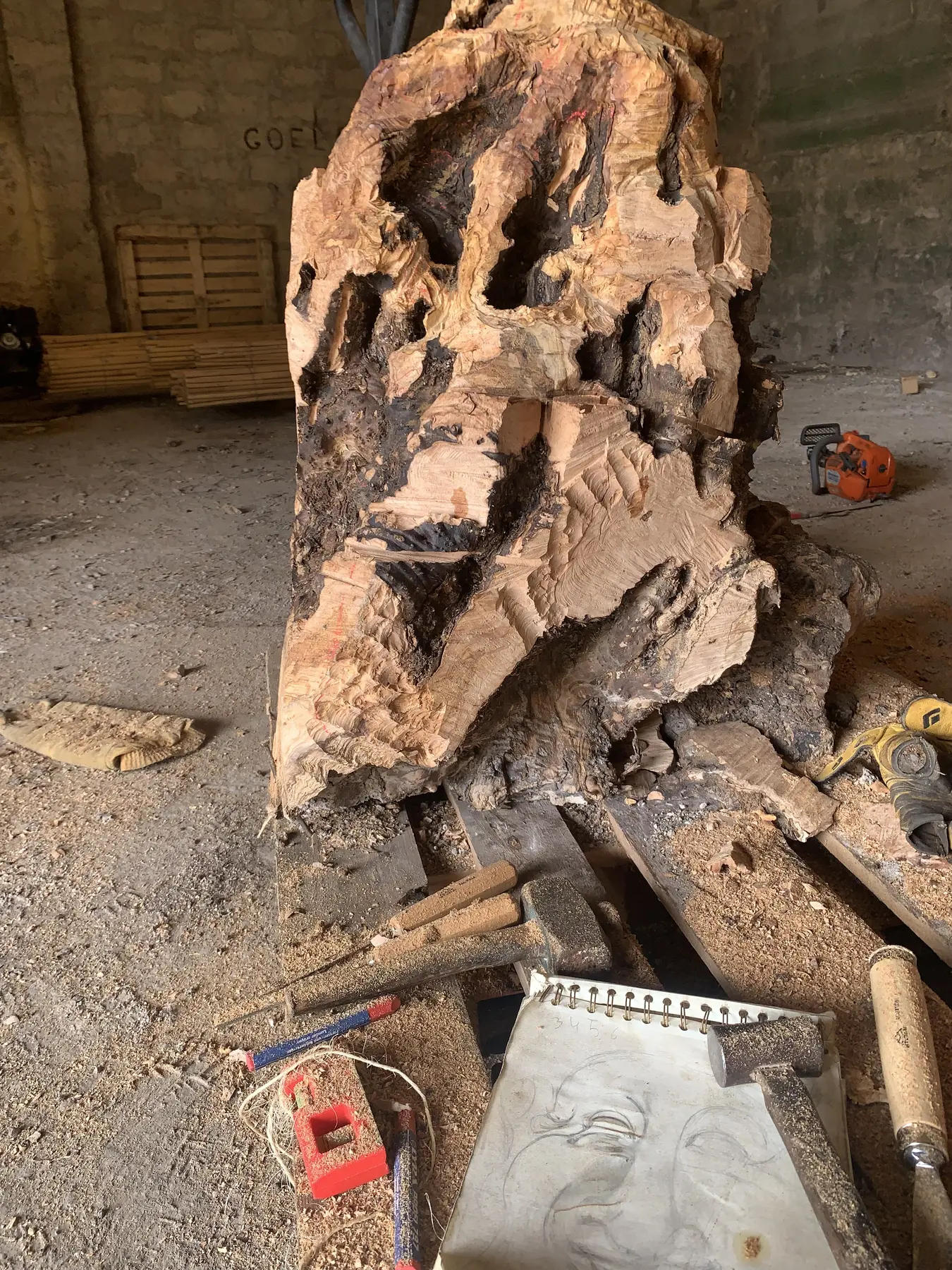 Pièce d’olivier brute au début du projet de sculpture